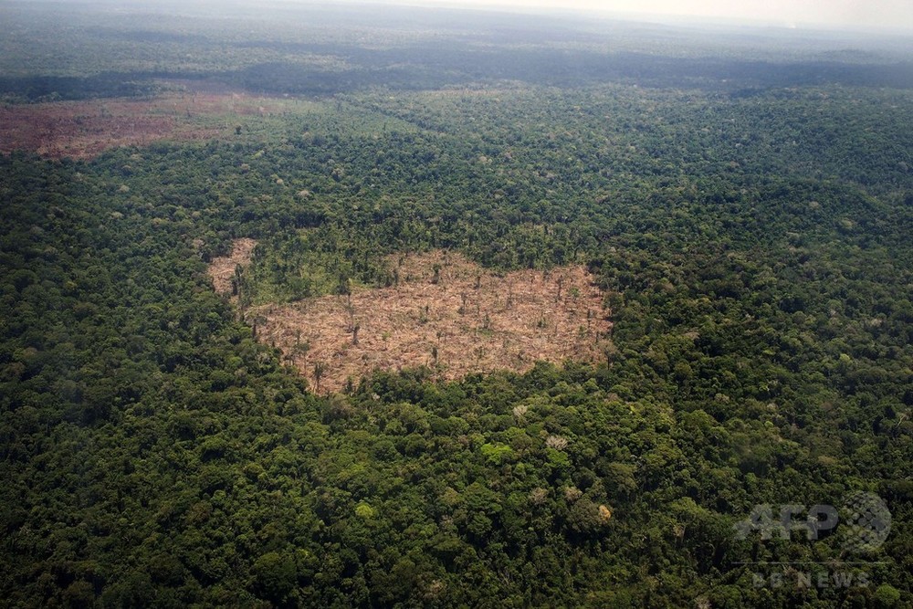 desmatamento na Amazônia