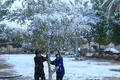 イラクの聖地カルバラの公園で、木から雪を振り落とす子どもたち（2020年2月11日撮影）。(c)Mohammed SAWAF / AFP