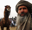 アフガニスタン北部バルフ（Balkh）州マザリシャリフ（Mazar-i-Sharif）で22日、新年行事の一環としてラクダを闘わせる催しが行われた。写真は、試合の順番を待つ男性（2010年3月22日撮影）。(c)AFP/SHAH Marai