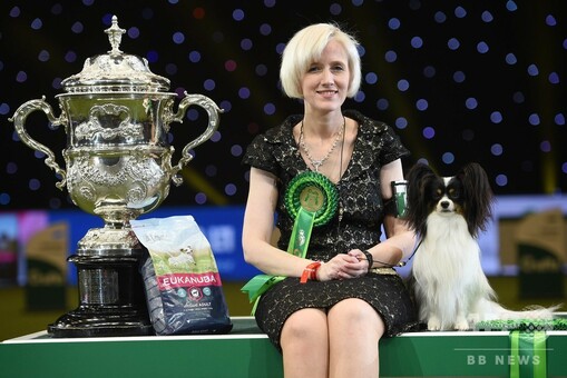 最高賞にパピヨンの「ディラン」、世界最大規模の英ドッグショー 写真