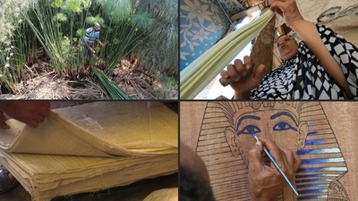 動画:ファラオ時代のパピルス紙作り、伝統守る職人たち エジプト
