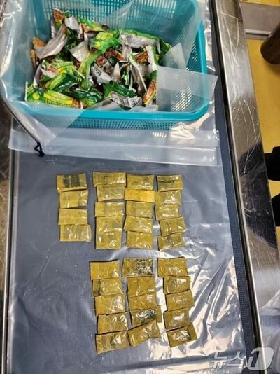 「菓子袋の中に隠した覚醒剤」…韓国で初公判のマレーシア人の女「ダイヤモンドだと思った」