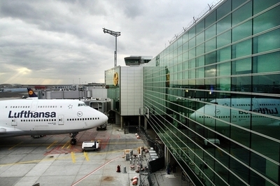 ゾウもホッと一息、フランクフルト国際空港に「アニマル･ラウンジ」登場