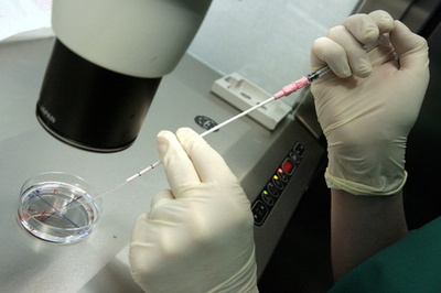 女性の卵子、肉体労働や夜間勤務が悪影響？ 研究