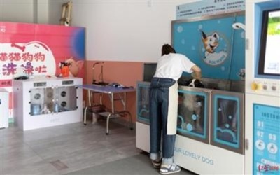 中国でセルフのペットシャワー店が登場 通常店舗の半額料金