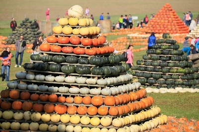大きさも色もさまざま、ハロウィーン控えカボチャのイベント チェコ