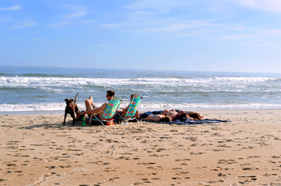 11月平均気温も過去最高、15年は最も暖かい年に現実味