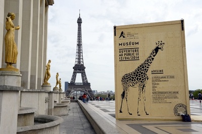 パリ市内に動物用コンテナが出現、 動物園の告知で