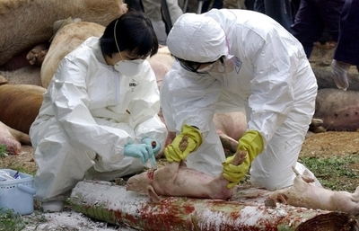 ＜鳥インフルエンザ＞インドネシアがウイルス検体提供を5か月ぶりに再開 - スイス