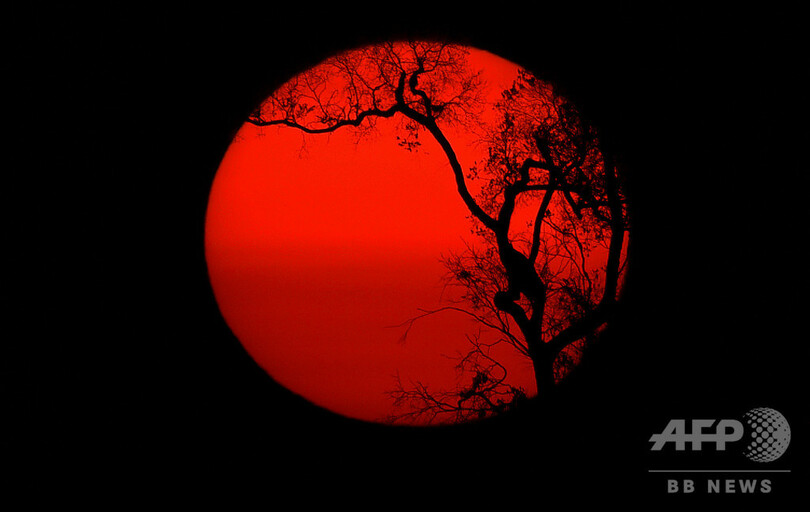 【写真特集】AFPが世界中で撮影した夕日