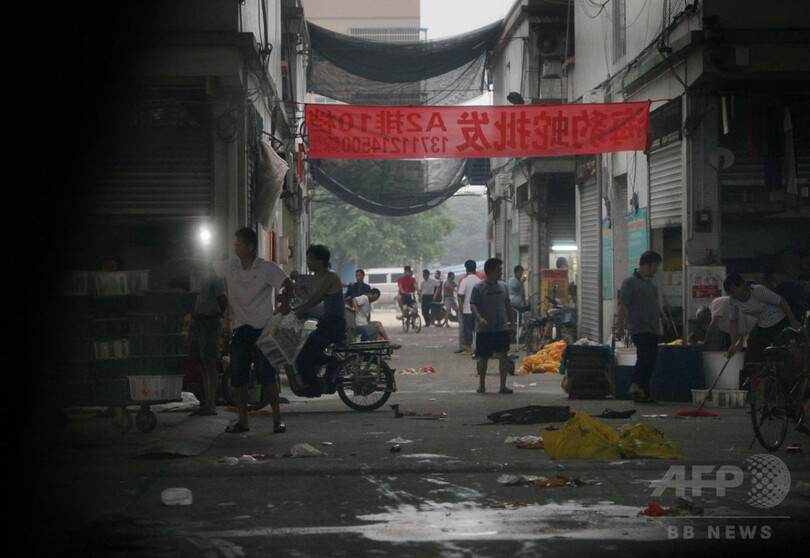 「食べたら実刑」でも公然と市場に並ぶ希少動物たち、中国