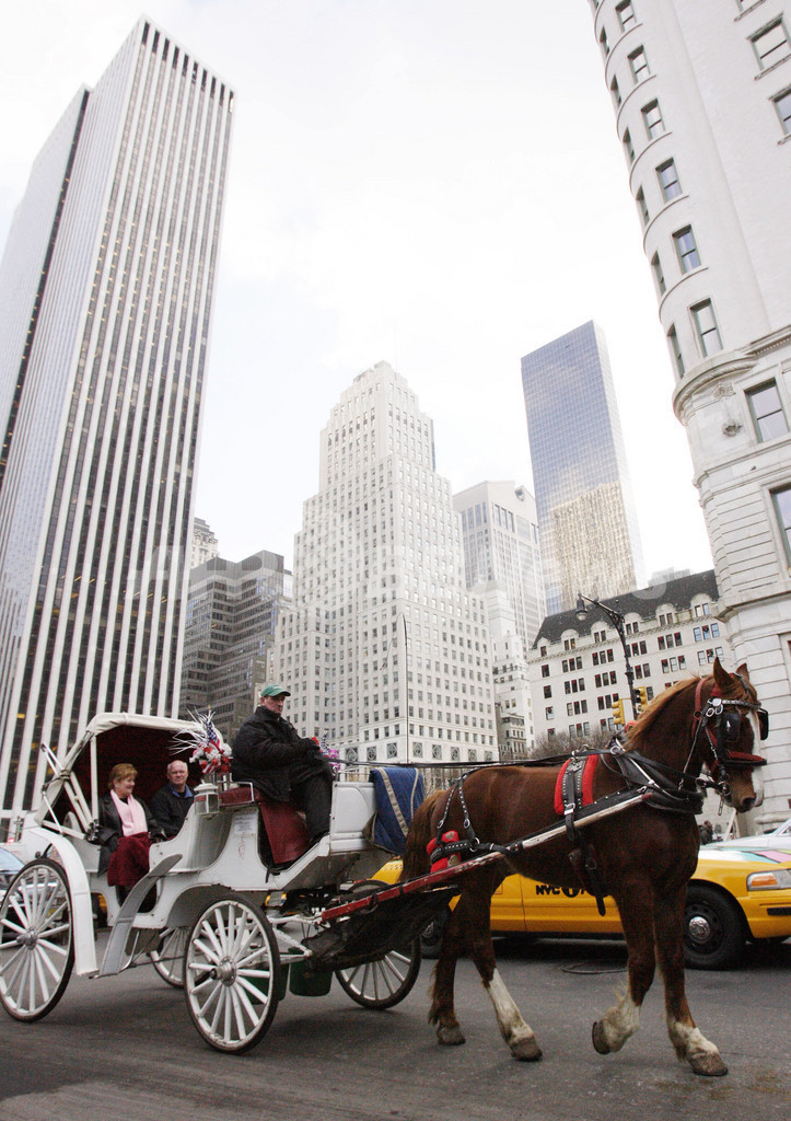 ニューヨーク名物の馬車が消える？「非人道的」との指摘も