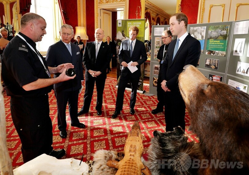 野生動物の違法取引の根絶を、40か国以上が宣言に署名