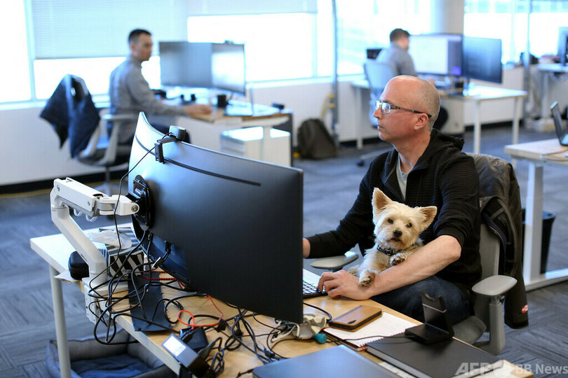 ポストコロナの日常 ペット同伴出勤OKの企業 カナダ