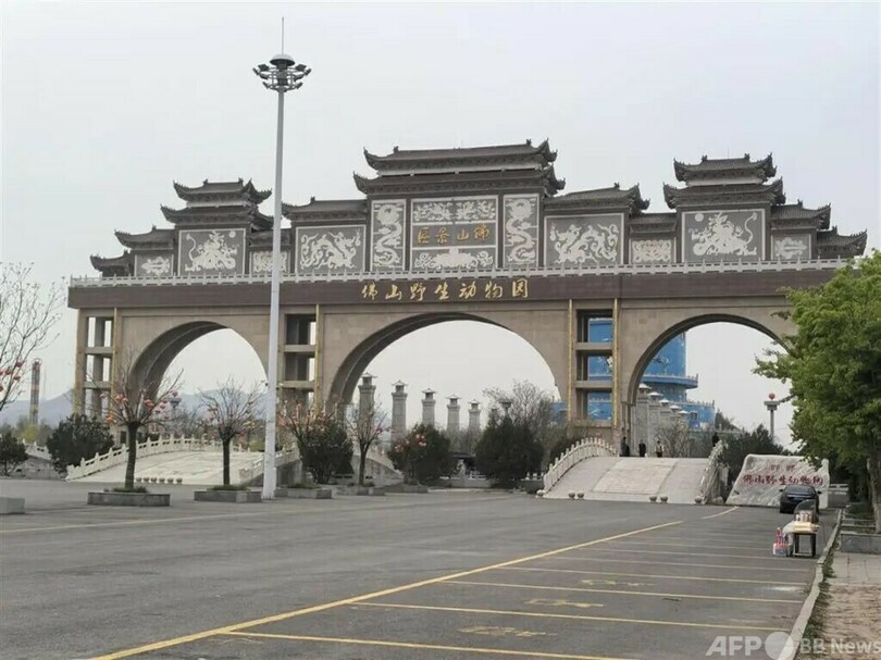 中国河北省の動物園からクマ脱走 養蜂場のハチミツ盗む