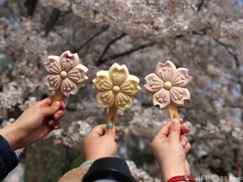 中国に桜ブーム 季節限定商品が大人気