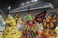カーニバルシーズンが到来したブラジル。写真は、サンパウロ（Sao Paulo）で開催されたパレード1日目の様子（2012年2月18日撮影）。(c)AFP/BRAZIL PHOTO PRESS/VANESSA CARVALHO