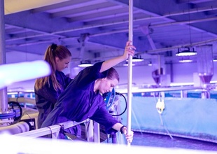 海や川に依存しない サケの屋内陸上養殖 ノルウェー