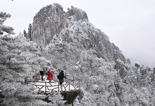 黄山風景区で初雪 中国安徽省 写真13枚 国際ニュース：AFPBB News