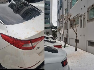 「愛車が赤く染まった」…韓国・マンション駐車場に「食べ物投げ捨て」被害、法で裁けるか？