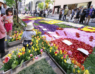 銀座にチューリップのじゅうたん、恒例「フラワーカーペット」開催