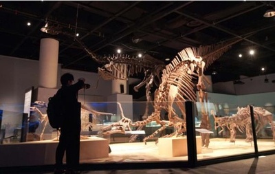 中国恐竜展が上海で開幕 118点の恐竜標本が展示