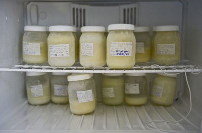 インド北部で初の「母乳バンク」、貧困層の乳児を支援