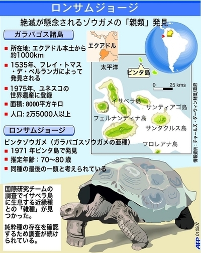 絶滅危機のロンサムジョージ、「親類」が発見される - 米国