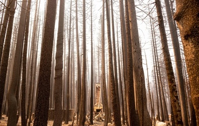 【今日の1枚】墓碑のよう…焼け跡の煙突 米カリフォルニア州山火事