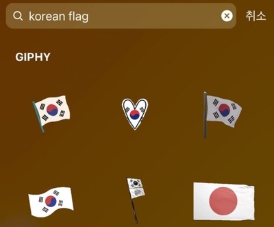 「『韓国国旗』で検索すると、日の丸が表示される！」韓国学者が目くじら
