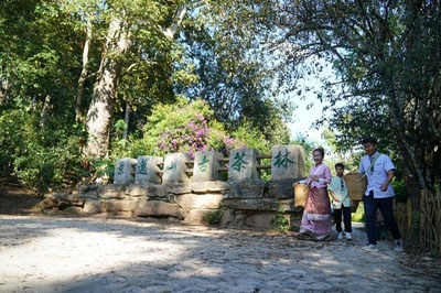 世界初「お茶」の世界遺産 中国雲南省のプーアル茶林