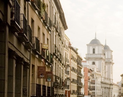 スペイン首都でガが大発生、気象条件が原因か