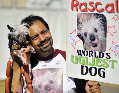 「世界一醜い犬コンテスト」、米カリフォルニアで開催