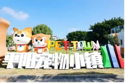 浙江省平陽県：小さなペットから生まれる大きなビジネス・中国