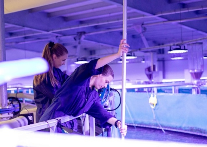 海や川に依存しない サケの屋内陸上養殖 ノルウェー