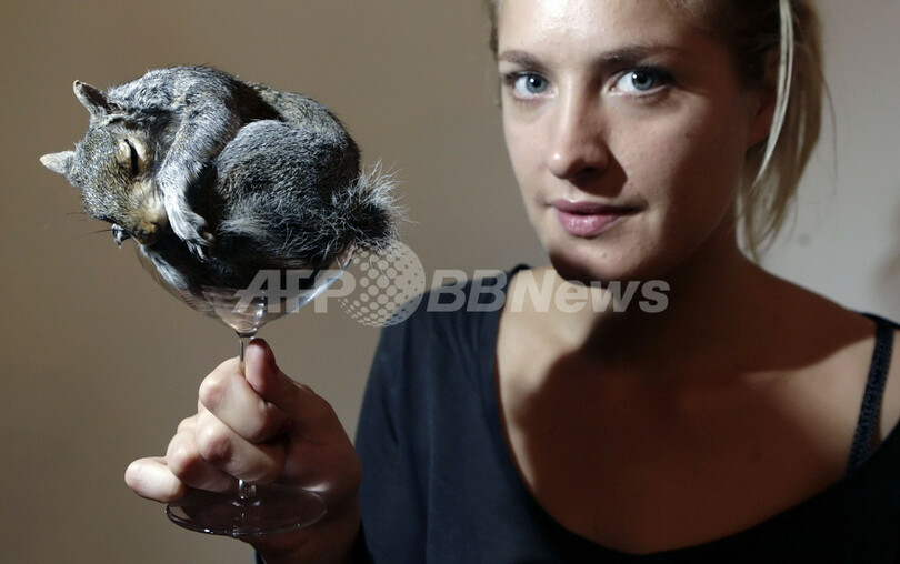 美しい死体 ロンドンの教会で動物のはく製展示会 写真8枚 国際ニュース Afpbb News