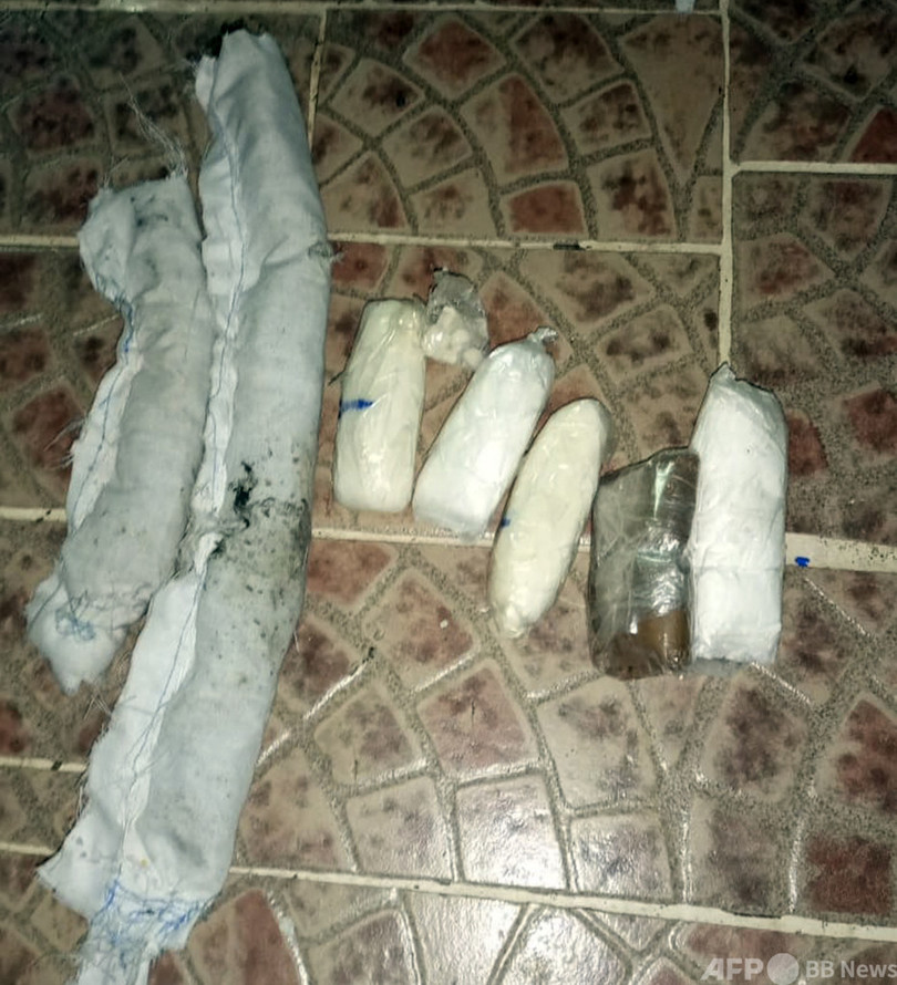 刑務所の外で「密輸猫」捕獲、薬物詰めた袋装着 パナマ