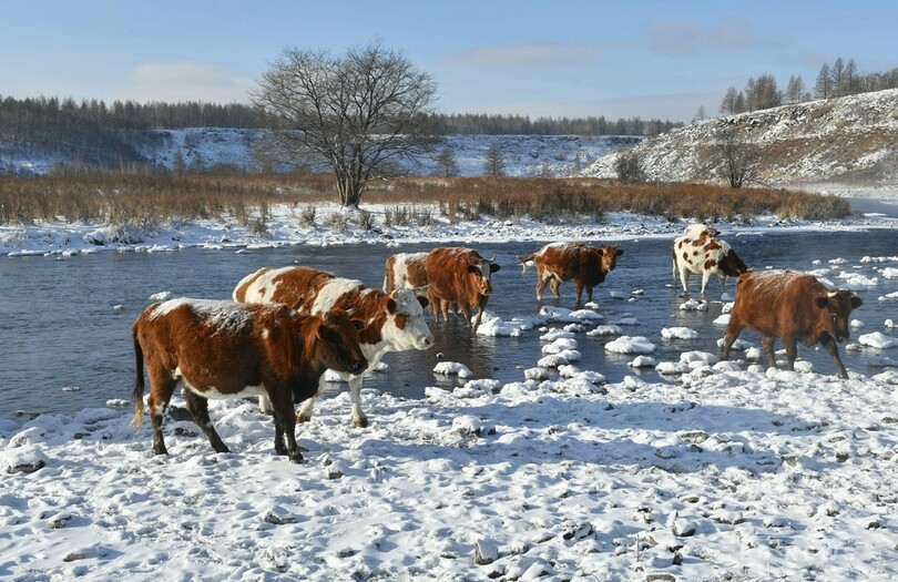 凍らない川でボート遊び 中国・内モンゴル