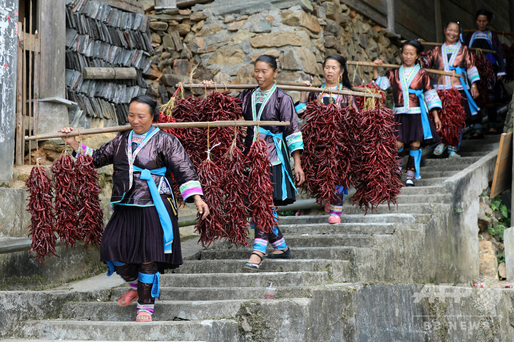 少数民族の集落で唐辛子の「美人コンテスト」 中国