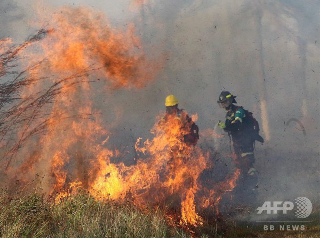 G7のアマゾン火災支援は「ごくわずか」 ボリビア大統領が一応の謝意