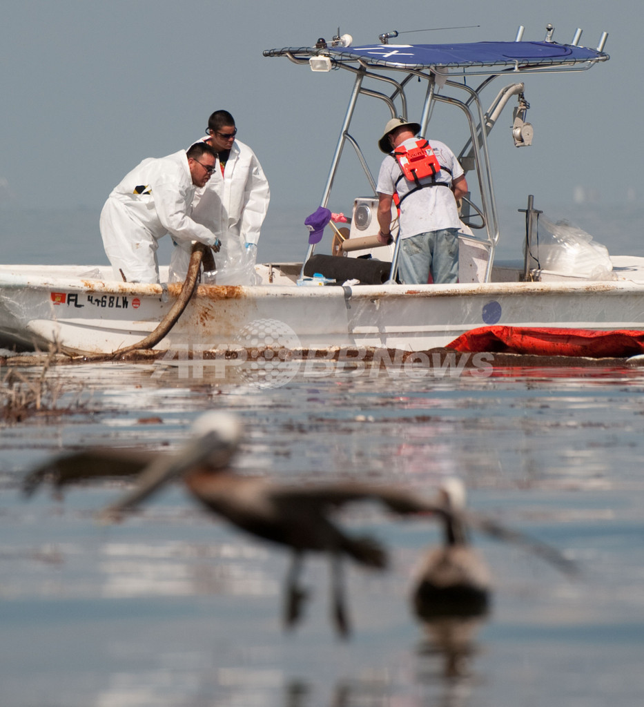原油流出、BPの支出16億ドルに 写真14枚 国際ニュース:AFPBB News