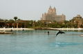 アラブ首長国連邦ドバイ（Dubai）の人工島「パームジュメイラ（Palm Jumeirah）」に開発された超大型リゾート・ホテル「アトランティス（Atlantis）」内にある、イルカの保護センター（2008年7月1日撮影）。(c)AFP/MARWAN NAAMANI