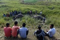 インド北東部アッサム州グワハティの郊外で、ゾウの死骸を見つめる近隣の村民ら（2017年11月19日撮影）。(c)AFP/Biju BORO