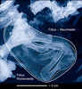 4800万年前のウマの胎児の化石のX線写真。(c)Senckenberg / http://creativecommons.org/licenses/by/4.0/