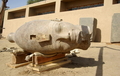 エジプト文化省が公開した南部ルクソール（Luxor）で発掘された古代エジプト王朝のファラオ、アメンホテプ3世（Amenhotep III）像の巨大な頭部（2010年2月28日公開）(c)AFP