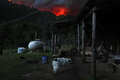 アルゼンチン・リオネグロ州パラへビジェガスの山火事の様子（2021年12月29日撮影）。(c)Francisco RAMOS MEJIA / AFP