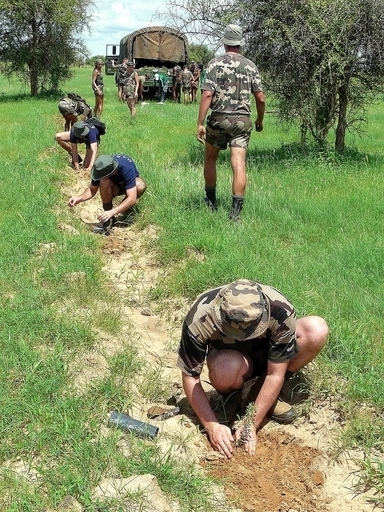 砂漠化防ぐアフリカの「緑の壁」計画に、100億円超の支援