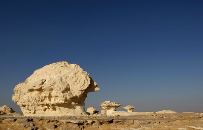 エジプト治安部隊、メキシコ人観光客を誤って攻撃 12人死亡