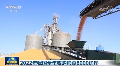 2022年の中国の年間食糧買い付けは4億トン