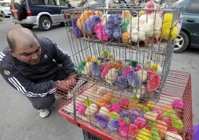 もうすぐイースター、僕らの出番です